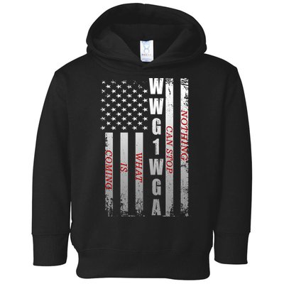 WWG1WGA Nothing Can Stop What Is Coming Toddler Hoodie
