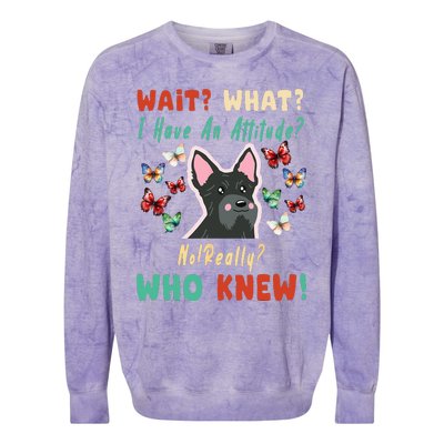 Wait What I Have An Attitude No Really Who Knew Scottish Dog Colorblast Crewneck Sweatshirt