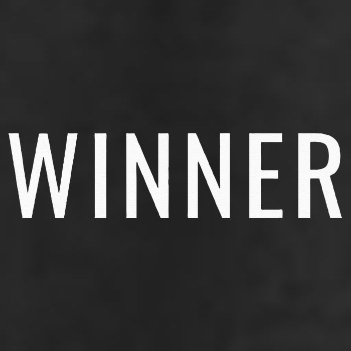 Winner Adult Drive Performance Visor