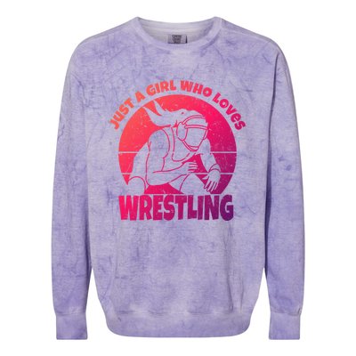 Wrestling Wrestler I Just A Who Loves Wrestling Gift Colorblast Crewneck Sweatshirt