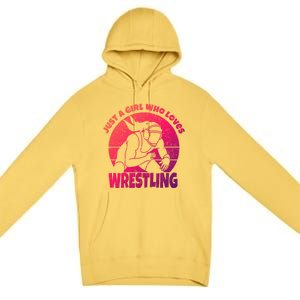 Wrestling Wrestler I Just A Who Loves Wrestling Gift Premium Pullover Hoodie