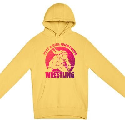 Wrestling Wrestler I Just A Who Loves Wrestling Gift Premium Pullover Hoodie