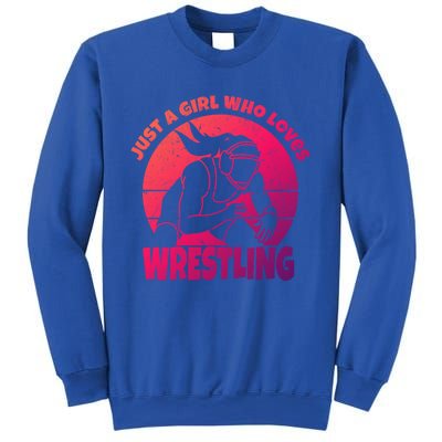 Wrestling Wrestler I Just A Who Loves Wrestling Gift Sweatshirt