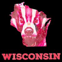 Wisconsin Backpack