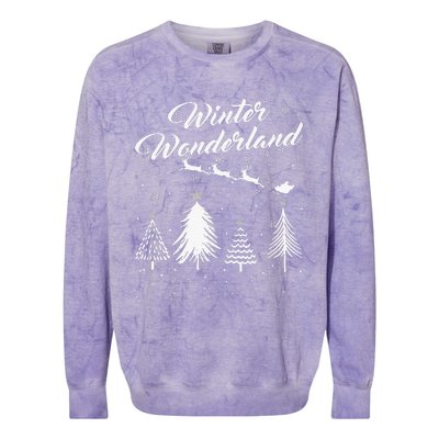 Winter Wonderland My Christmas Pajama Family Xmas Colorblast Crewneck Sweatshirt