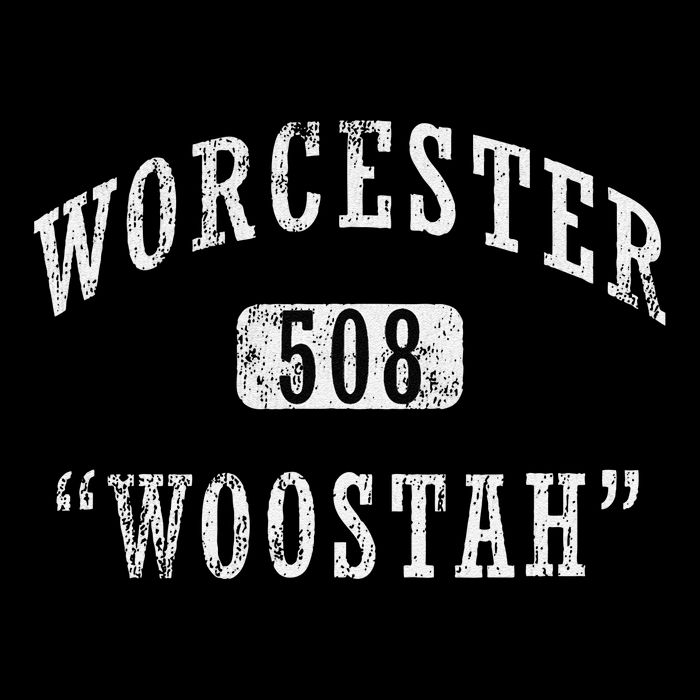 Worcester Woostah Nickname 508 Vintage Area Code Backpack