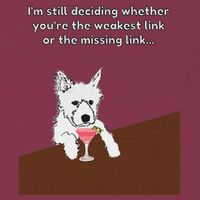 Westie “Weakest Or Missing Link” Insult Graphic 16oz Travel Tumbler