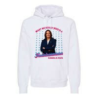 What We Really Need Is A Femininomenon Kamala Harris 2024 Premium Hoodie