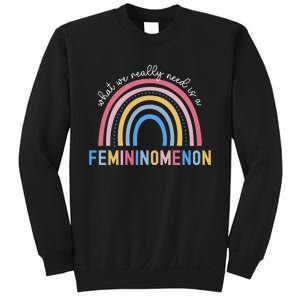 What We Really Need Is A Demininity Rainbow Sweatshirt