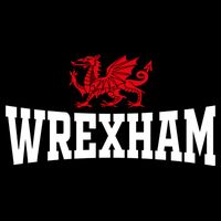 Wrexham Wales Red Dragon Wrecsam Impact Tech Backpack