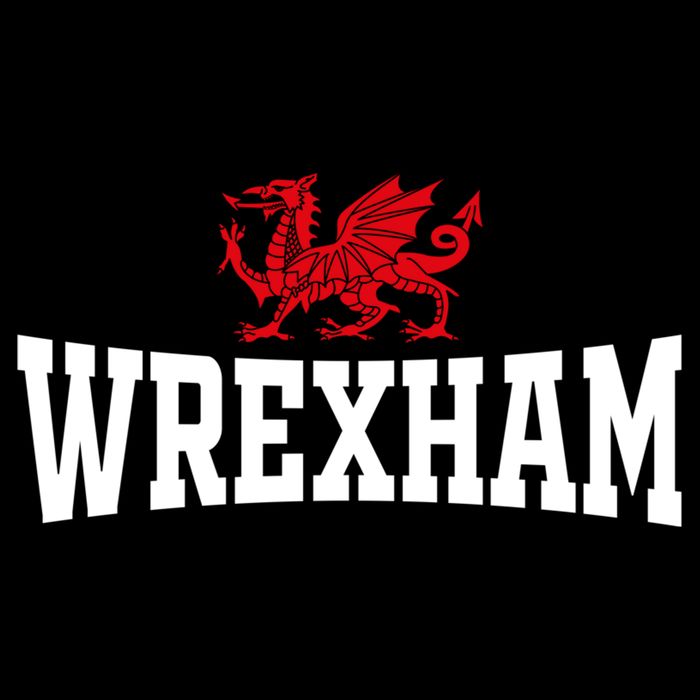Wrexham Wales Red Dragon Wrecsam Impact Tech Backpack