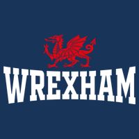 Wrexham Wales Red Dragon Wrecsam 16 in Basic Backpack