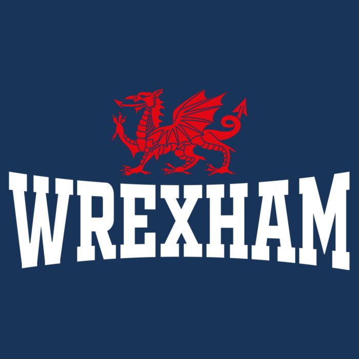 Wrexham Wales Red Dragon Wrecsam 16 in Basic Backpack