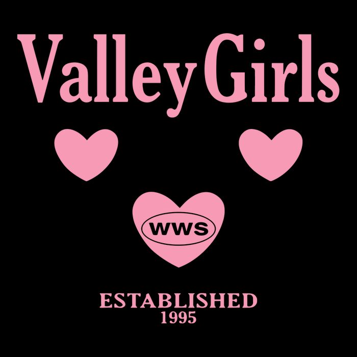 What We Said Wws Valley Est 1995 Cooling Performance Crew T-Shirt