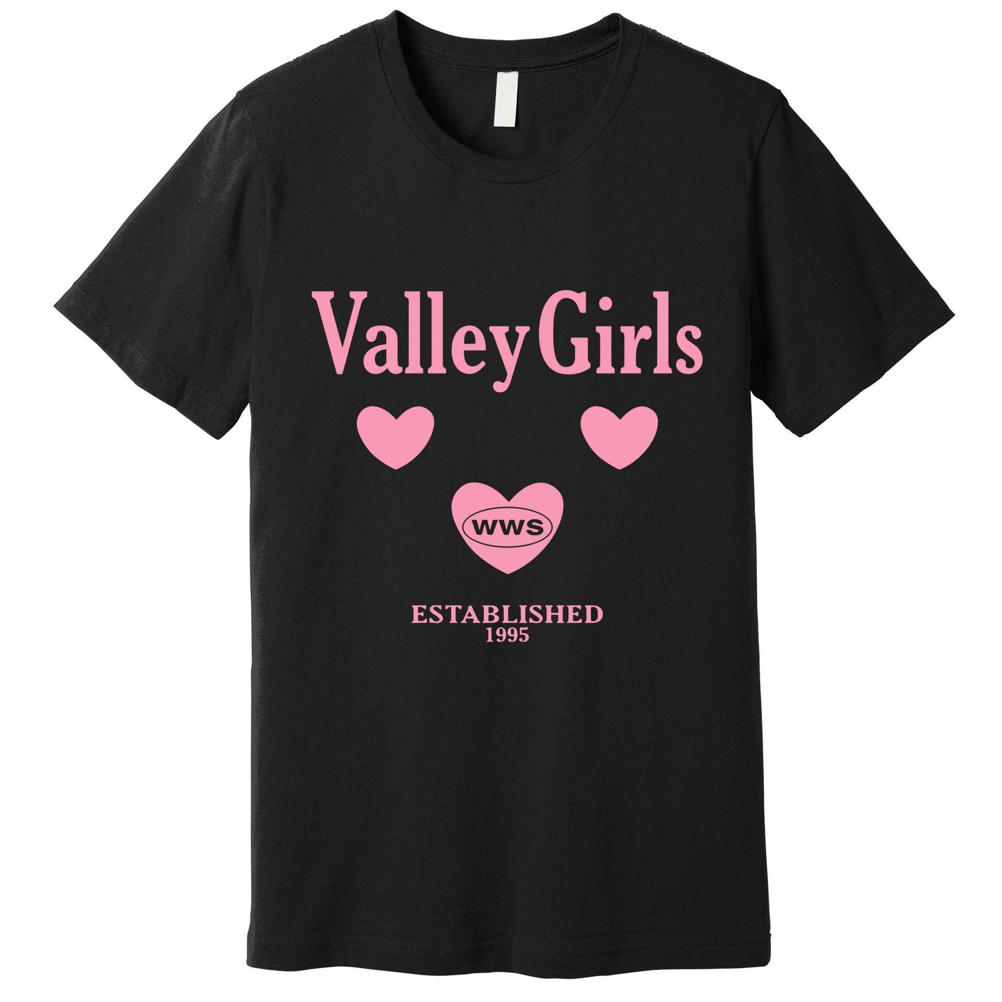 What We Said Wws Valley Est 1995 Premium T-Shirt