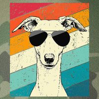 Whippet With Sunglasses Dog Lovers Legacy Tie Dye Trucker Hat