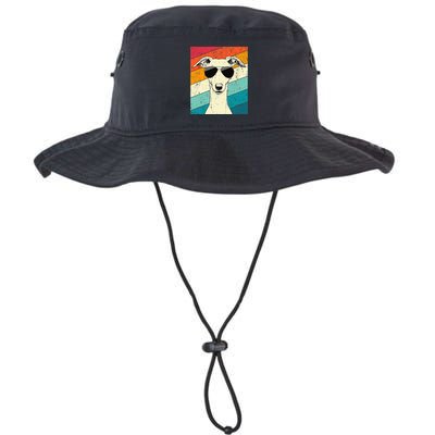 Whippet With Sunglasses Dog Lovers Bucket Hat