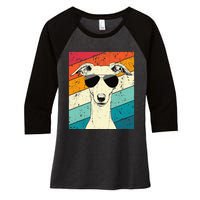 Whippet With Sunglasses Dog Lovers Women's Tri-Blend 3/4-Sleeve Raglan Shirt