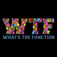 Wtf WhatS The Function Behavior Analyst Wool Snapback Cap