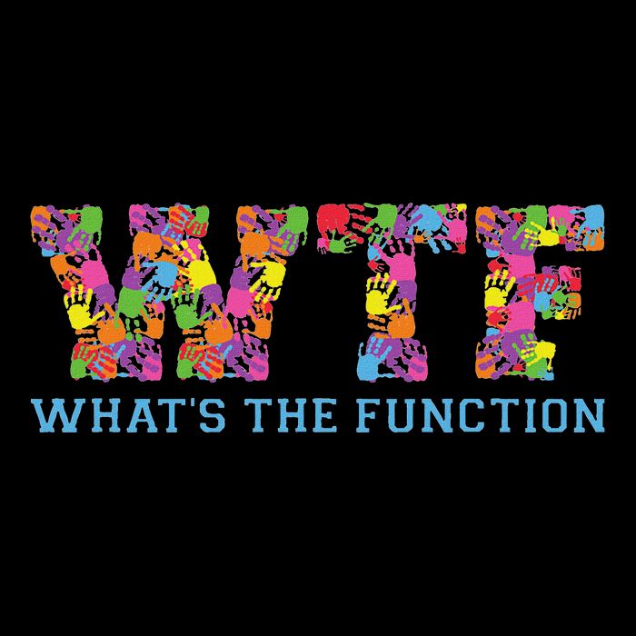 Wtf WhatS The Function Behavior Analyst Wool Snapback Cap