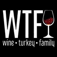 wtf wine turkey family  Stripe Pom Pom Beanie