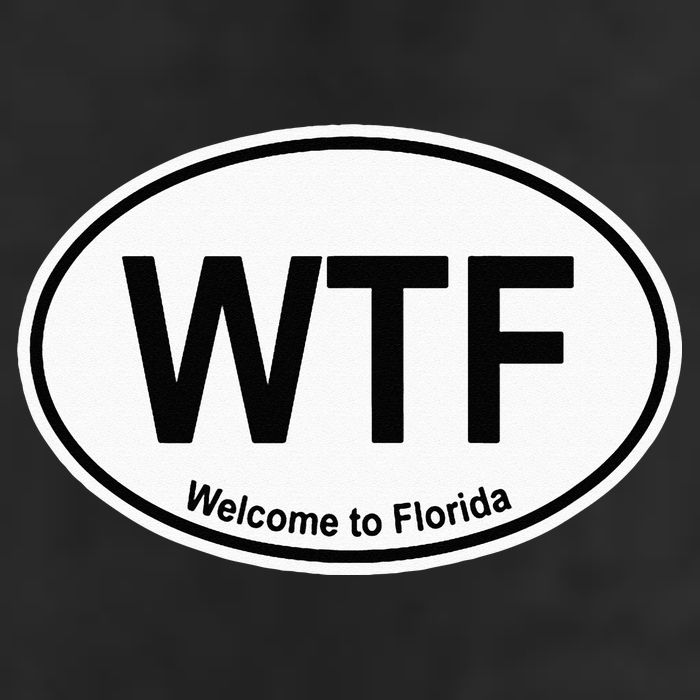WTF Welcome To Florida Beanie