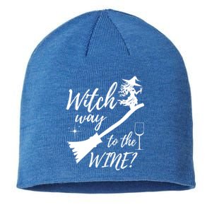 Witch Way To Wine Spooky Graphic Halloween Ing Graphic Meaningful Gift Sustainable Beanie