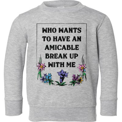 Who Wants To Have An Amicable Break Up With Me Toddler Sweatshirt