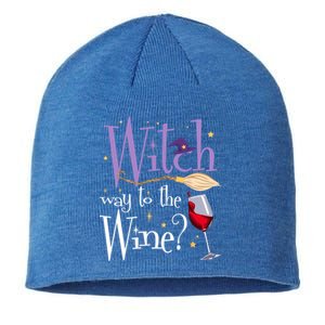 Witch Way To The Wine Halloween Ing For Wiccan Witches Gift Sustainable Beanie