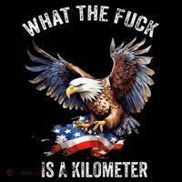 Wtf What The Fu.K Is A Kilometer George Washington Hoodie