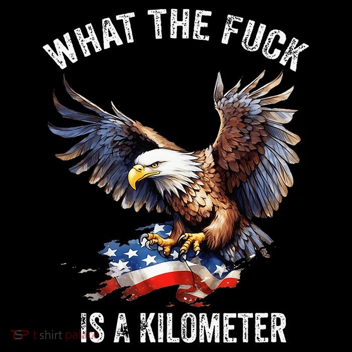 Wtf What The Fu.K Is A Kilometer George Washington Poster
