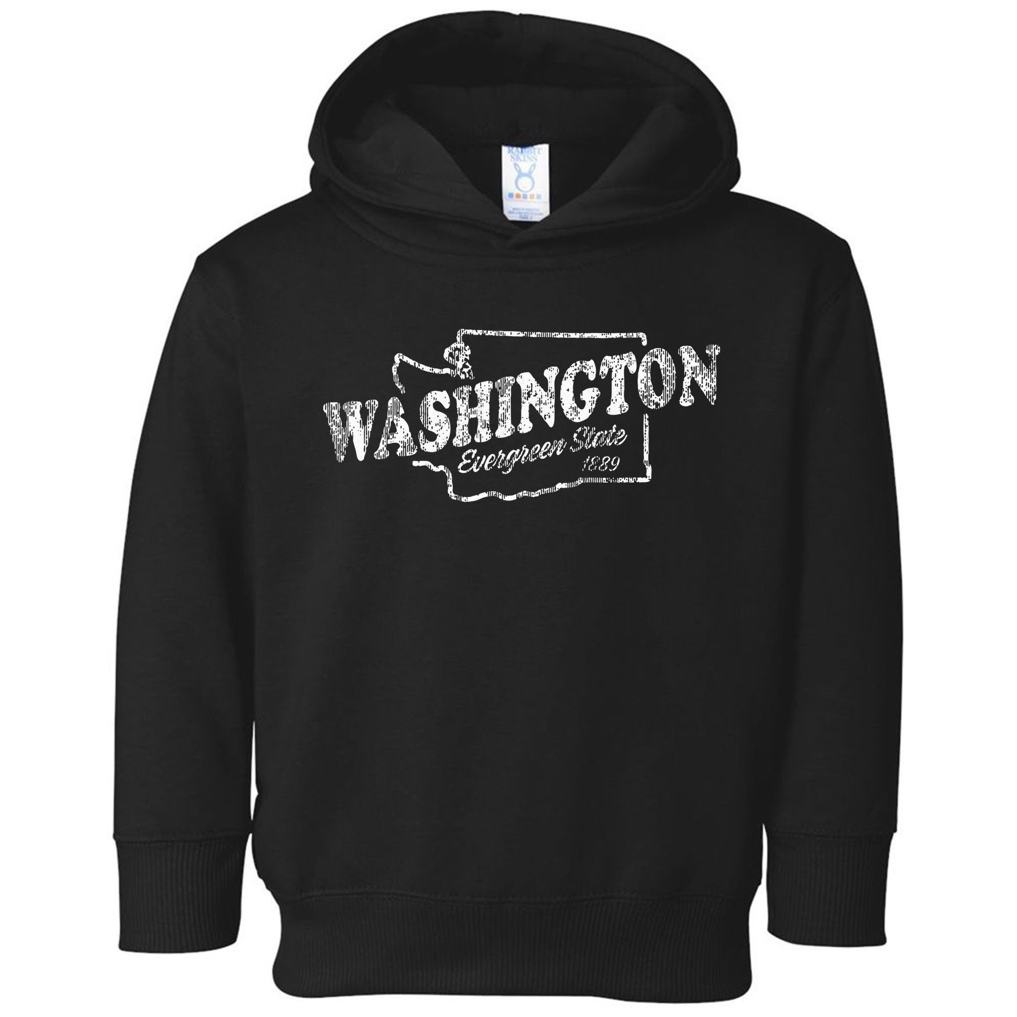Washington Wa Vintage Graphic Evergreen State Toddler Hoodie