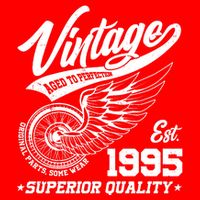 Winged Wheel Vintage 1995 Aged To Perfection Superior Quality 30th Birthday Baby Bodysuit
