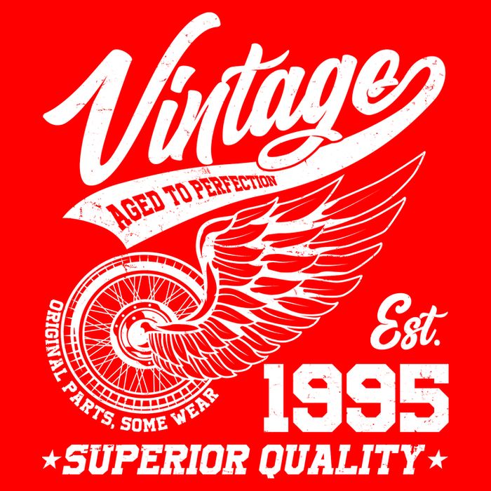 Winged Wheel Vintage 1995 Aged To Perfection Superior Quality 30th Birthday Baby Bodysuit
