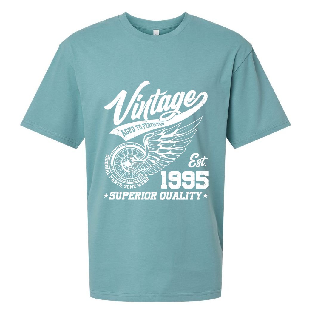 Winged Wheel Vintage 1995 Aged To Perfection Superior Quality 30th Birthday Sueded Cloud Jersey T-Shirt