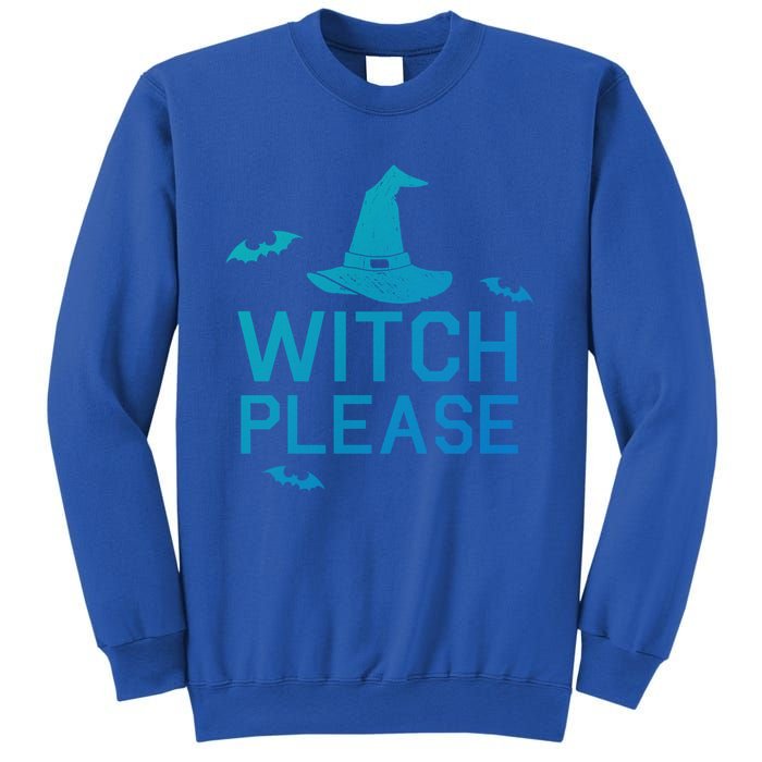 Well Worn Witch Please Great Gift Great Gift Sweatshirt