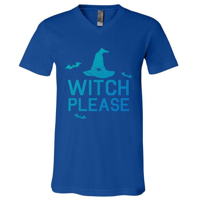 Well Worn Witch Please Great Gift Great Gift V-Neck T-Shirt