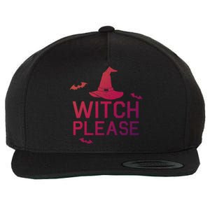 Well Worn Witch Please Great Gift Great Gift Wool Snapback Cap