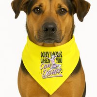 Why Walk When You Can Dance USA-Made Doggie Bandana