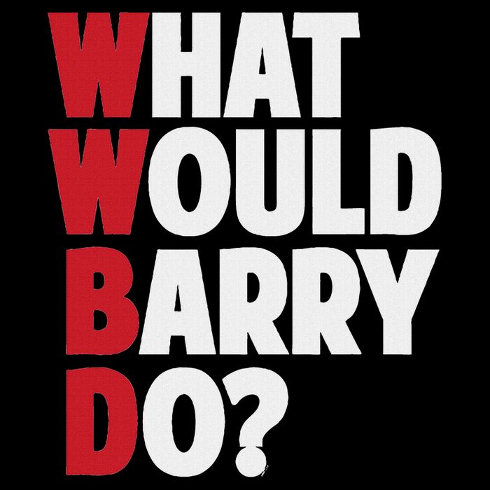 Wwbd What Would Barry Do Funny Sarcastic Flat Bill Trucker Hat