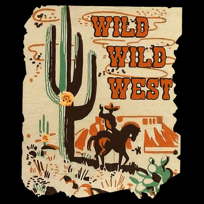 Wild Wild West Western Life Southwest Desert Vibes Cactus 16 in Basic Backpack