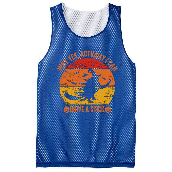 Why Yes Actually I Can Drive A Stick Funny Halloween Witch Meaningful Gift Mesh Reversible Basketball Jersey Tank