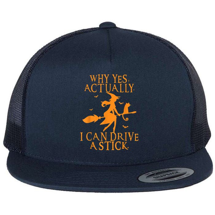Why Yes Actually I Can Drive A Stick Halloween Witch & Cat Flat Bill Trucker Hat