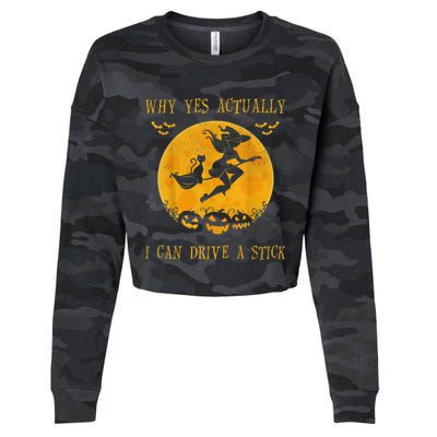 Why Yes Actually I Can Drive A Stick Halloween Witch & Cat Pumpkin Cropped Pullover Crew