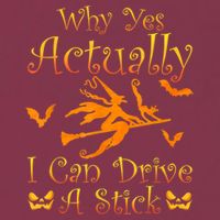 Why Yes Actually I Can Drive A Stick Funny Witch Costume 16oz Travel Tumbler