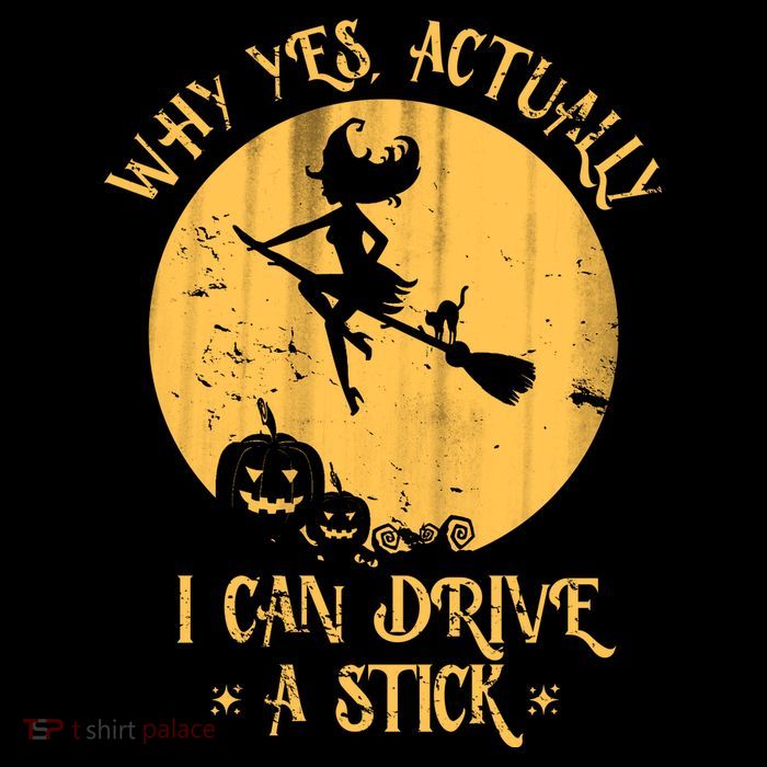Why Yes Actually I Can Drive A Stick Magnet