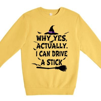 Why Yes Actually I Can Drive A Stick Halloween Costume Premium Crewneck Sweatshirt