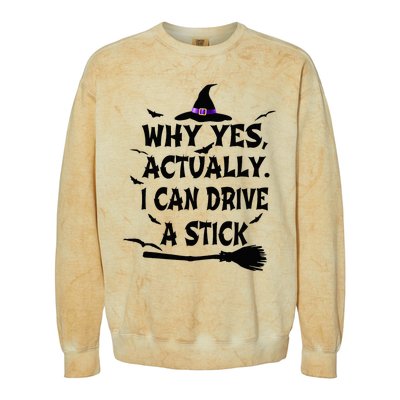 Why Yes Actually I Can Drive A Stick Halloween Costume Colorblast Crewneck Sweatshirt