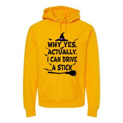 Why Yes Actually I Can Drive A Stick Halloween Costume Premium Hoodie