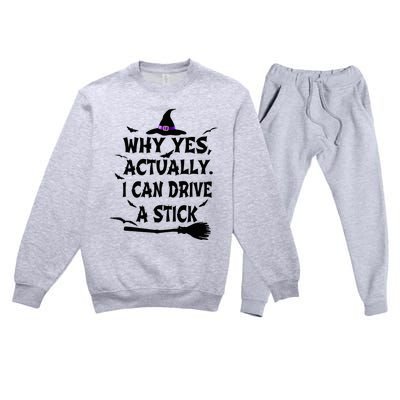 Why Yes Actually I Can Drive A Stick Halloween Costume Premium Crewneck Sweatsuit Set